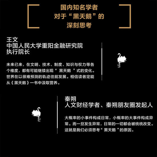 中信出版 | 黑天鹅：如何应对不可预知的未来（升级版） 深入阐释现代社会黑天鹅法则 刘润推荐 商品图3