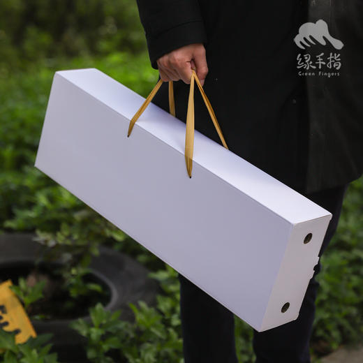 有机铁棍山药 | 合作生产*Organic Iron yam | Coproduction 商品图4