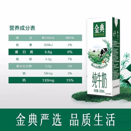 伊利 金典全脂纯牛奶250ml*12盒/箱 【FY】 商品图2