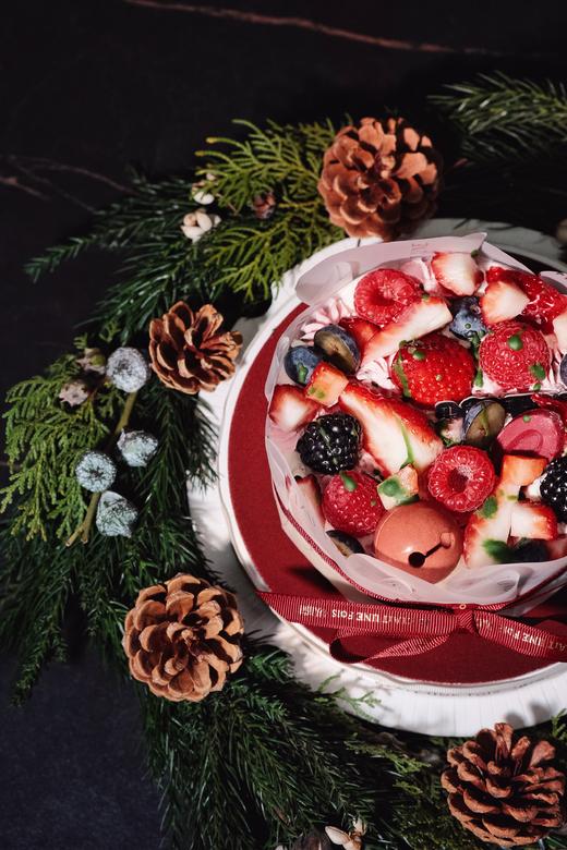 圣诞莓果巴斯克 商品图2