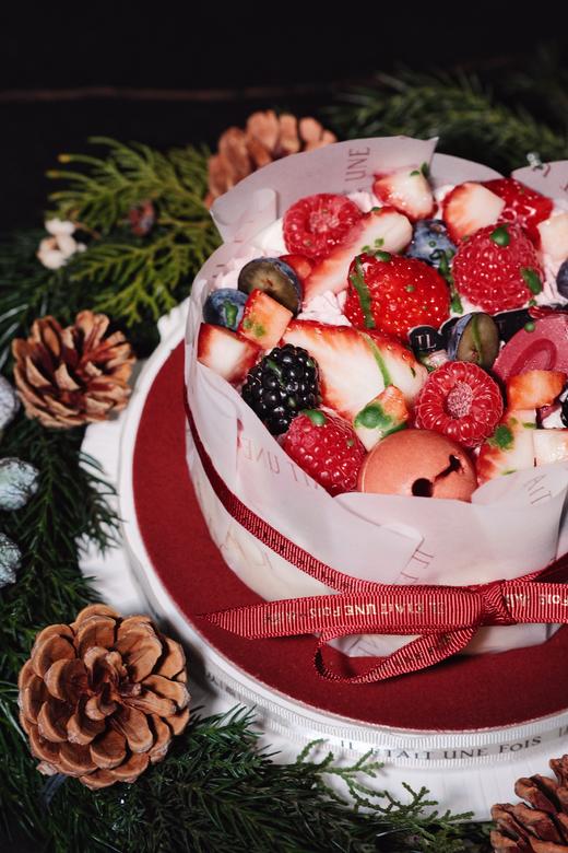 圣诞莓果巴斯克 商品图1