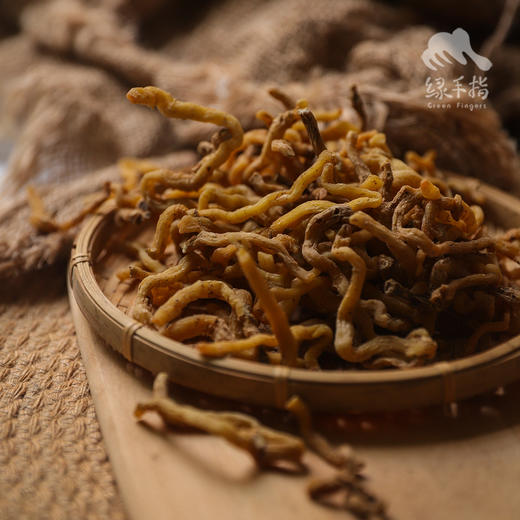 野生玉竹 | 合作生产*wild-Polygonatum odoratum | Coproduction 商品图2