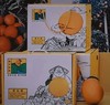 重庆·奉节脐橙10斤礼盒（净重 9斤）【包邮】ZY 商品缩略图2