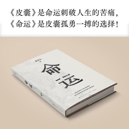 【有书共读】《命运》蔡崇达 商品图2