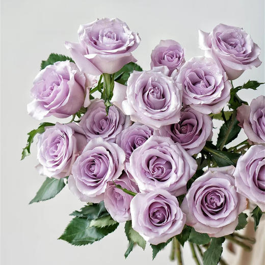 同城甄选海洋之歌玫瑰花10支 商品图0