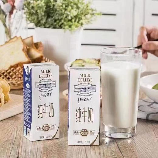 特仑苏牛奶一箱 商品图3