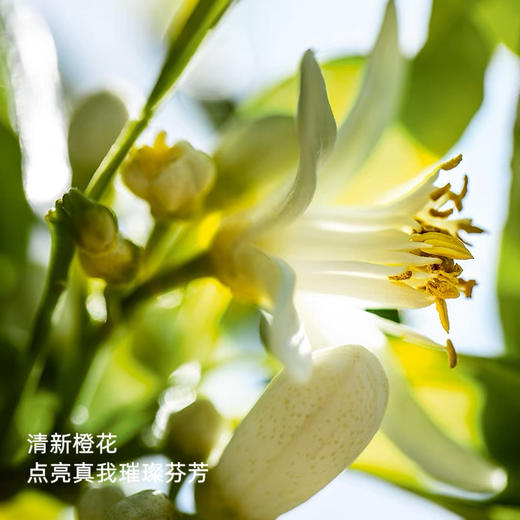 DIOR迪奥真我女士淡香水50ml  商品图3