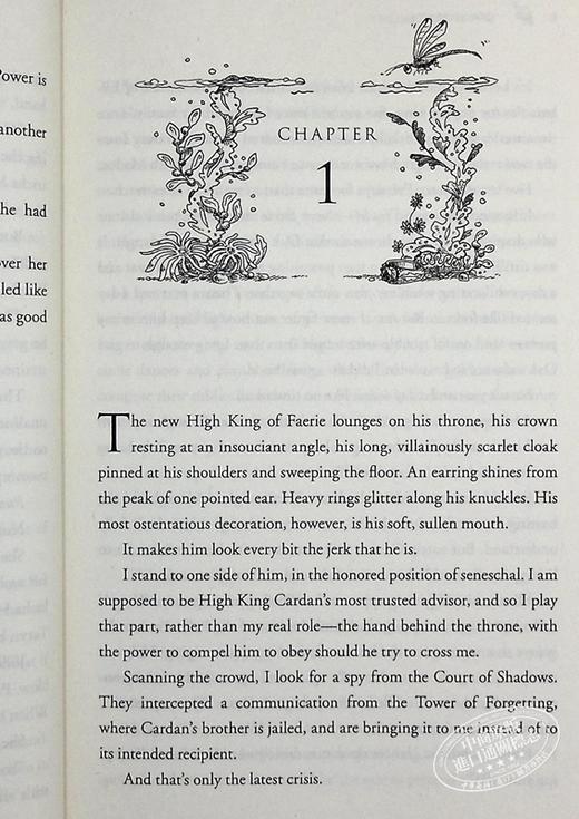 【中商原版】邪恶的国王 英文原版 The Folk of the Air #2: The Wicked King 商品图5