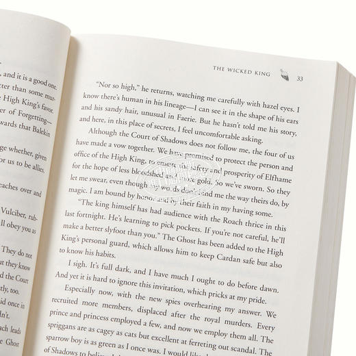 【中商原版】邪恶的国王 英文原版 The Folk of the Air #2: The Wicked King 商品图3