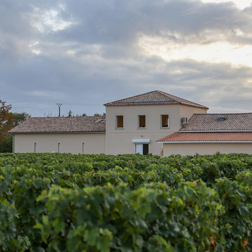 雷格隐士干红葡萄酒 2019年 商品图2