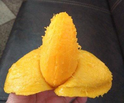 【甄选】树上熟小赵芒果小台农芒果7颗/盒850g±25g 商品图1