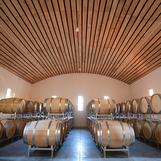 雷格隐士干红葡萄酒 2019年 商品图1