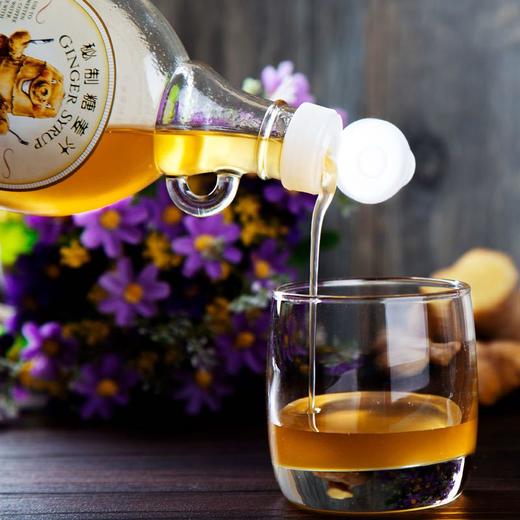 日常吃姜赛过药汤 | The ginger people 姜健宝浓缩糖姜汁237ml/瓶*2瓶 [福利品] 商品图1