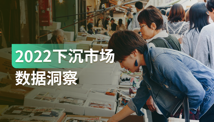《2022下沉市场数据洞察：短视频篇》：值得重视的巨型消费市场