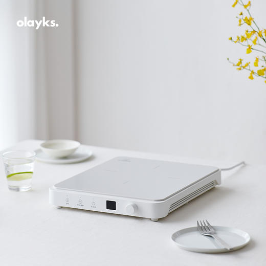 olayks电磁炉家用大功率爆炒多功能火锅炒菜一体电磁炉2022新款 商品图0