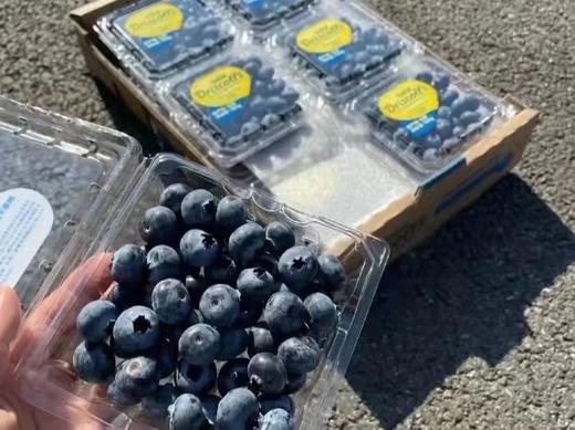 云南 怡颗 蓝莓  【6盒】 商品图2