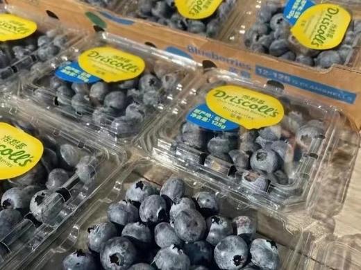 云南 怡颗 蓝莓  【6盒】 商品图3