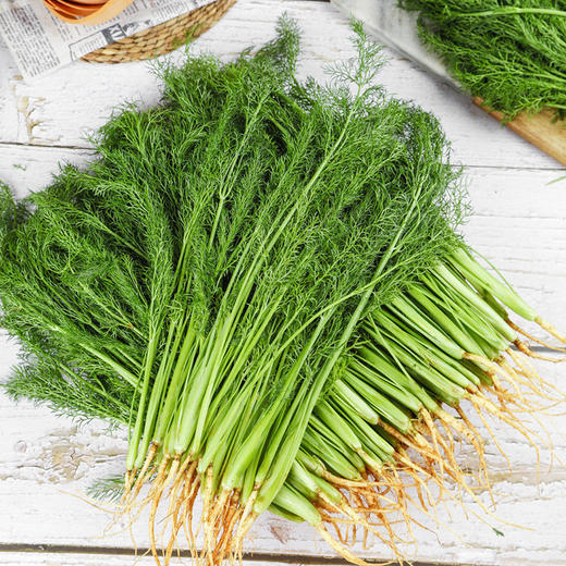 茴香 300g 商品图0