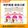皇家口感型猫粮肠道舒适挑嘴成猫猫粮EP42/ES35 商品缩略图0