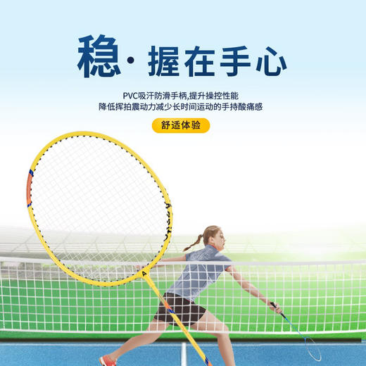 安格耐特F2103羽毛球拍 商品图2