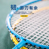 安格耐特F2103羽毛球拍 商品缩略图1