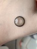 4Youthcon旗下 · 电光薄荷&芥末吐司&蓝莓吐司&反叛黑灰｜14.5mm、14.2mm｜年抛 商品缩略图2
