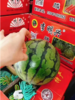 4粒李明星西瓜一箱 商品缩略图2