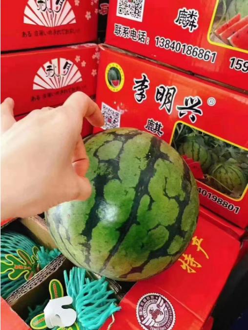 4粒李明星西瓜一箱 商品图2