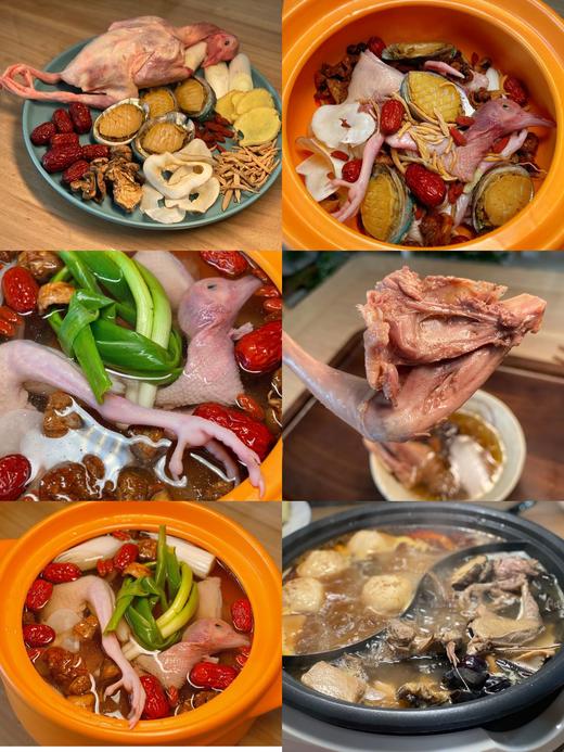 农家散养飞鸽 原粮喂养 杜绝饲料（有检测报告） 商品图4