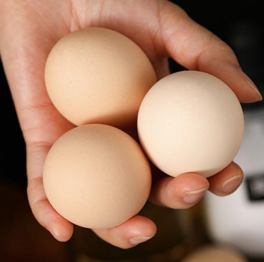 鸡蛋&油鸡蛋初产“小笨蛋”&鹅蛋&卤鸡蛋 商品图0