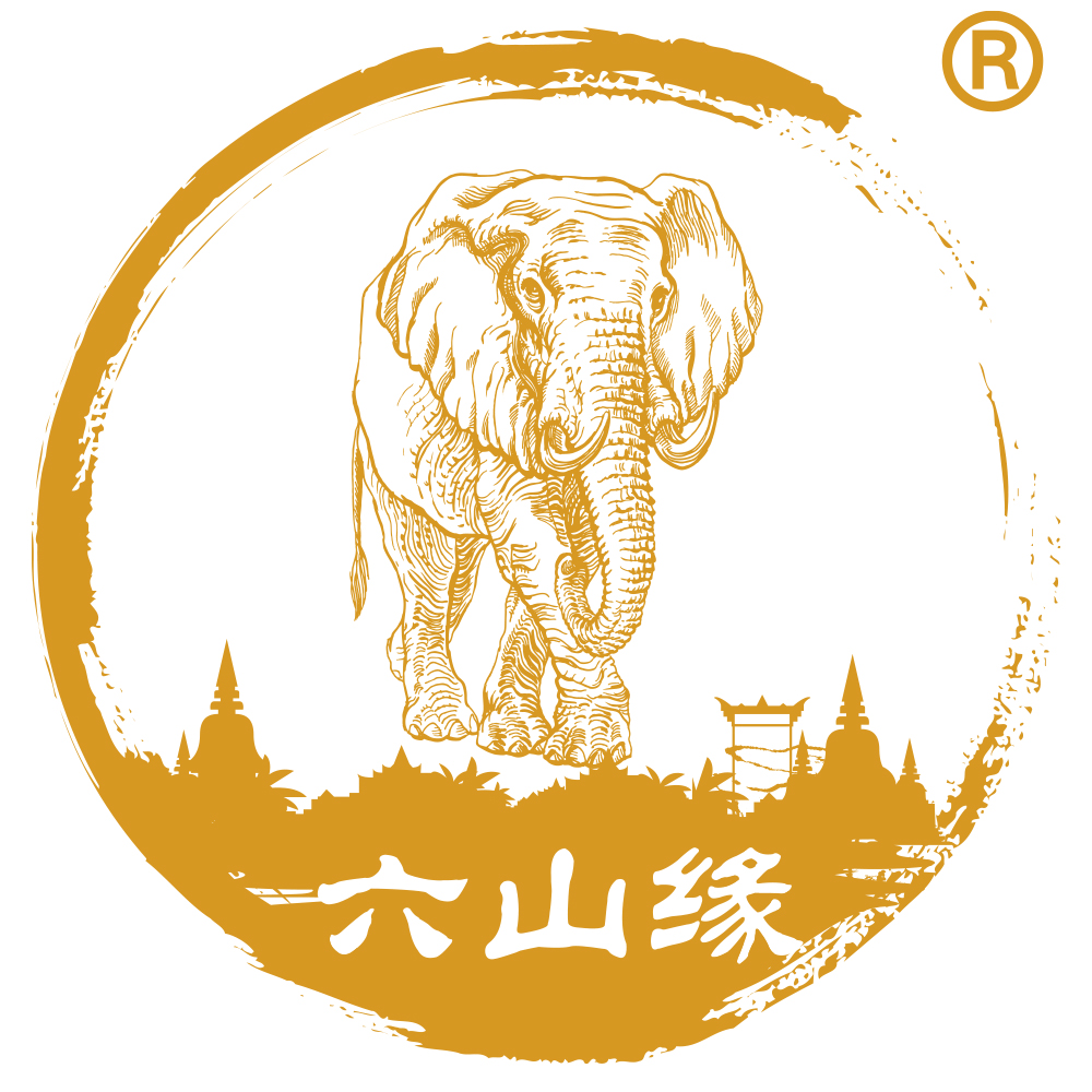 六山缘茶业旗舰店260103