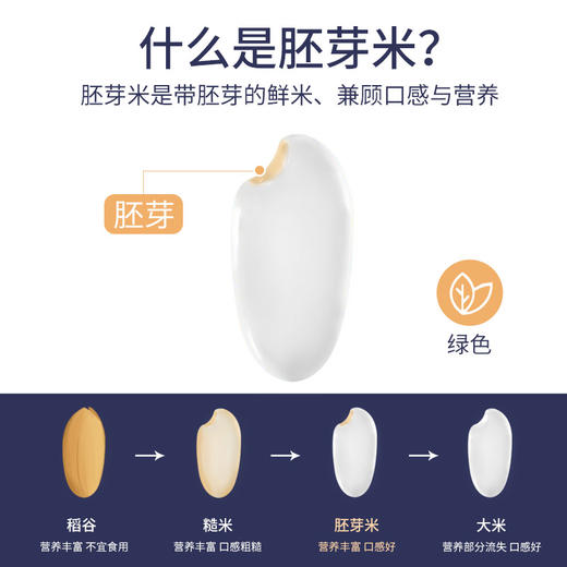 云南普洱鲜胚芽米 商品图3