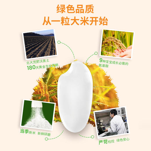贝斯美强化钙铁锌营养米粉225g 商品图4