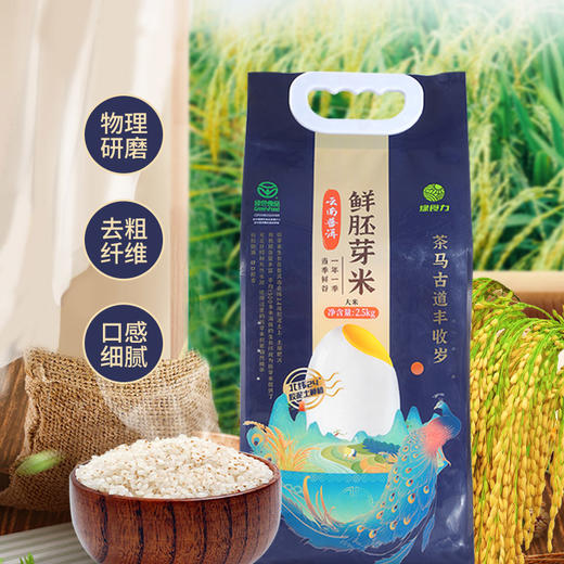 云南普洱鲜胚芽米 商品图2