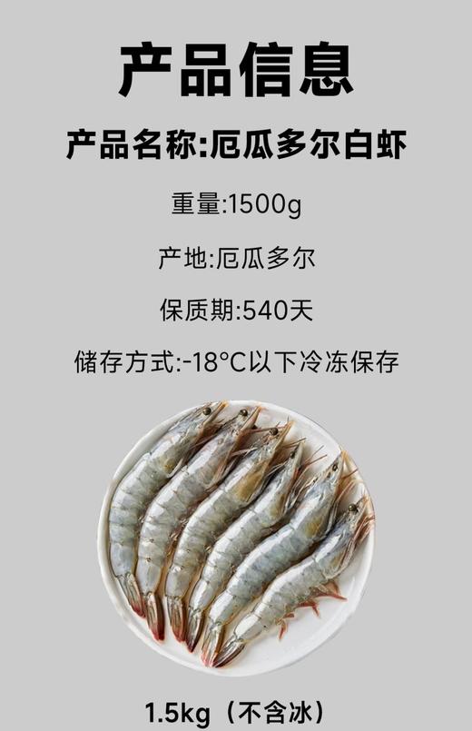 厄瓜多尔白虾 商品图2