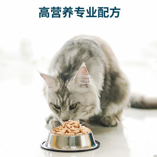 鲜朗烘焙猫粮幼猫成猫通用官方正品全期主粮无谷物 商品图4