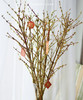 【清库存】-进口寸寸金  约10枝/扎  多规格 商品缩略图5
