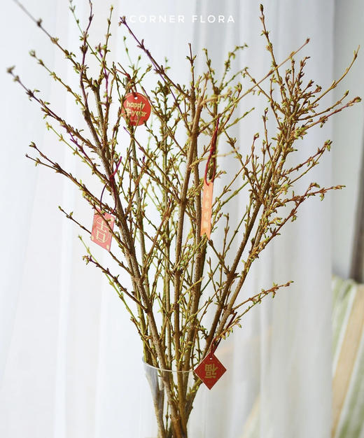 【清库存】-进口寸寸金  约10枝/扎  多规格 商品图5