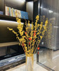 【清库存】-进口寸寸金  约10枝/扎  多规格 商品缩略图3