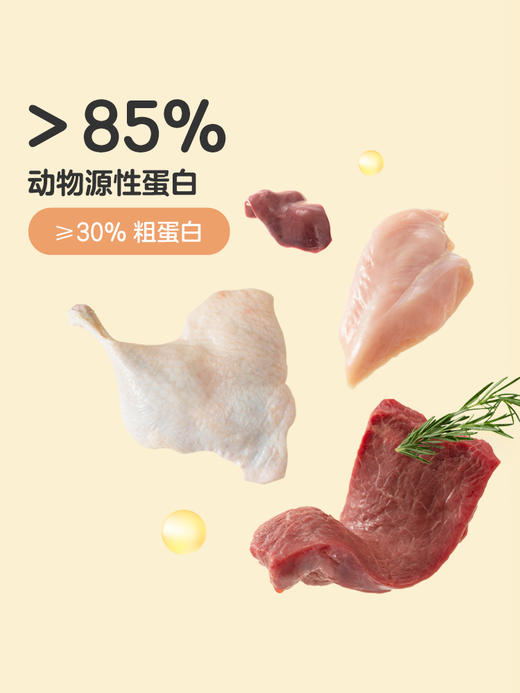 网易严选猫粮合集（全价/冻干双拼2kg/10kg） 商品图3