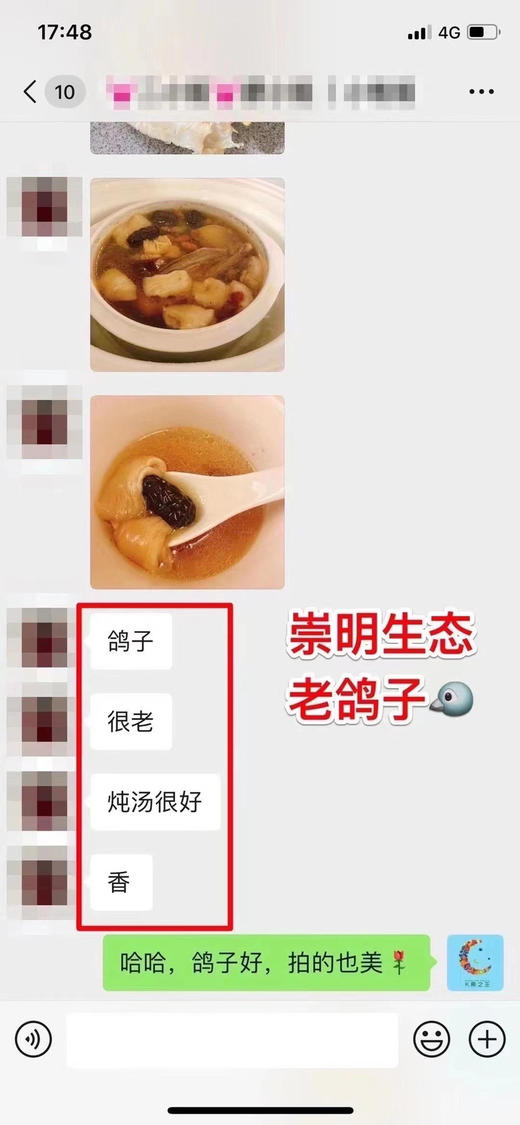 崇明生态老鸽🐦，三年龄以上，一鸽胜九鸡，砂锅煲5小时，非常鲜美 商品图8