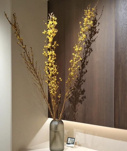 【清库存】-进口寸寸金  约10枝/扎  多规格 商品图1