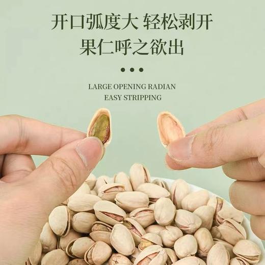 泰国新奇士牌干焗开心果270g 粒粒香醇 好开心果只烘烤不油炸 152403 商品图2