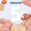 鲜朗烘焙猫粮幼猫成猫通用官方正品全期主粮无谷物 商品缩略图5