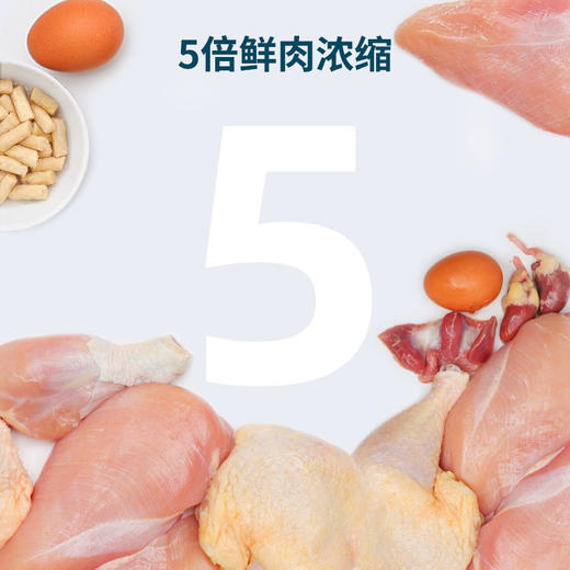 鲜朗烘焙猫粮幼猫成猫通用官方正品全期主粮无谷物 商品图5