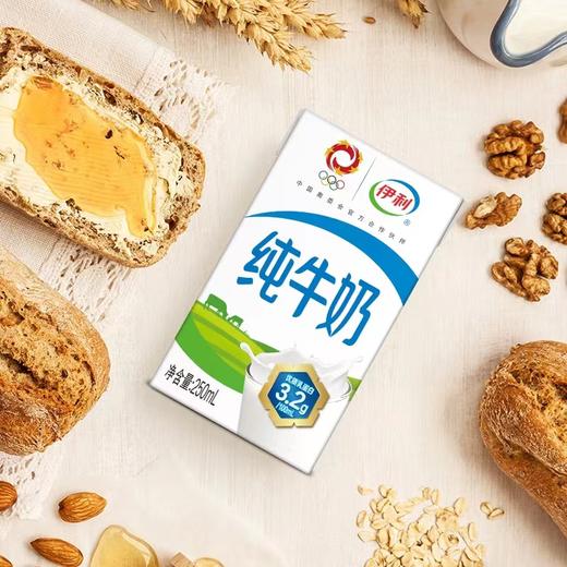 伊利 纯牛奶250ml*24盒【FY】 商品图1