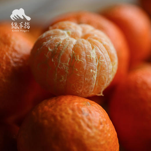 生态砂糖橘  (桂林) | 合作生产 *Sand Sugar Orange | Partner Production 商品图1