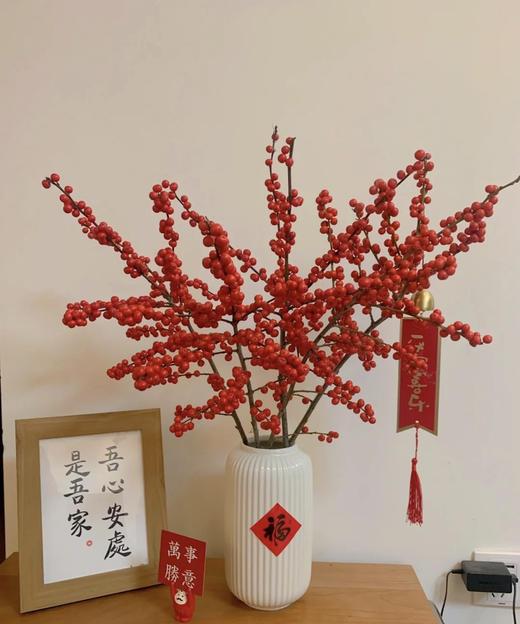 【天物A级】国产冬青/富贵子  多规格 商品图2