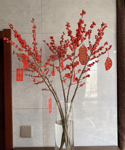 【天物A级】国产冬青/富贵子  多规格 商品图0