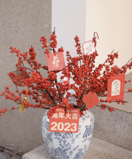 【天物A级】国产冬青/富贵子  多规格 商品图1